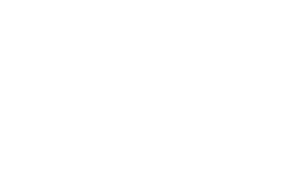 Riva Trasporti & Logistica